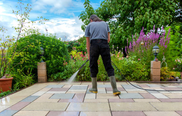 Best Animal Enclosure Cleaning  in Westgate, FL